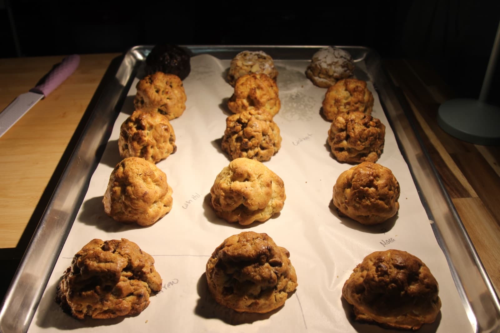 Surtido de galletas Dulcester en una bandeja de prueba